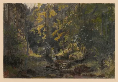 Shrubs And Trees By The Szczawnik