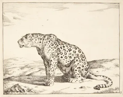 Siddende Hunleopard Vendt Mod Venstre