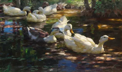 Sieben Enten Im Schattigen Waldteich