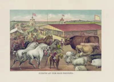 Sights At The Fair Ground