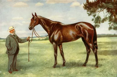 Signorinetta