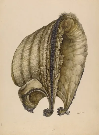 Silk Bonnet 2