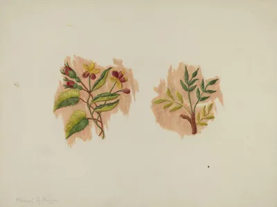 Silk Petticoat Fragment