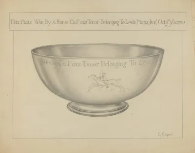 Silver Bowl 8