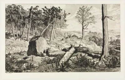 Simplicius In Der Wald Einode Intermezzi Opus Iv Blatt 10