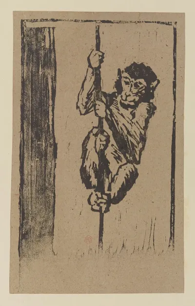 Singe Grimpant A La Corde