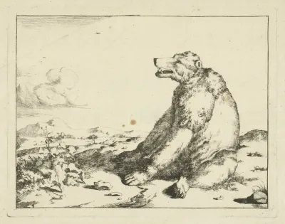 Sitting Bear