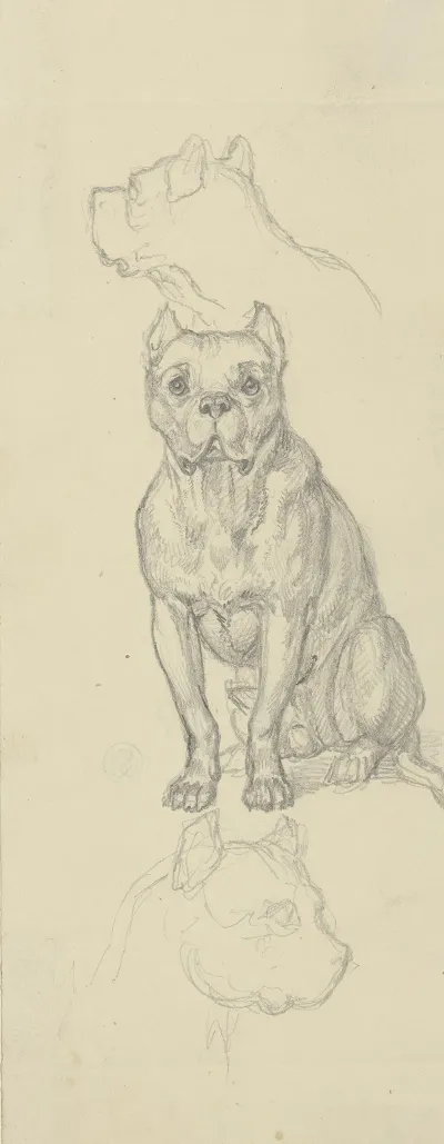 Sitting Dog En Face