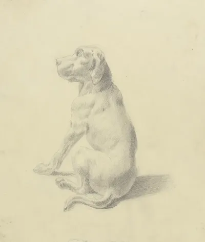 Sitting Dog To The Left