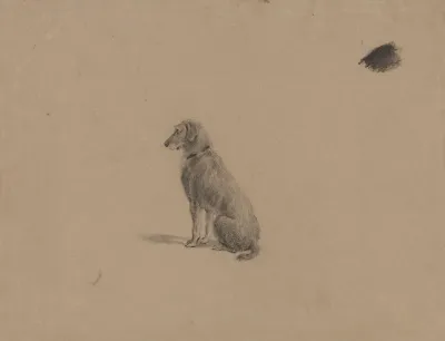 Sitting Dog