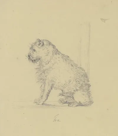 Sitzender Foxterrier Nach Links