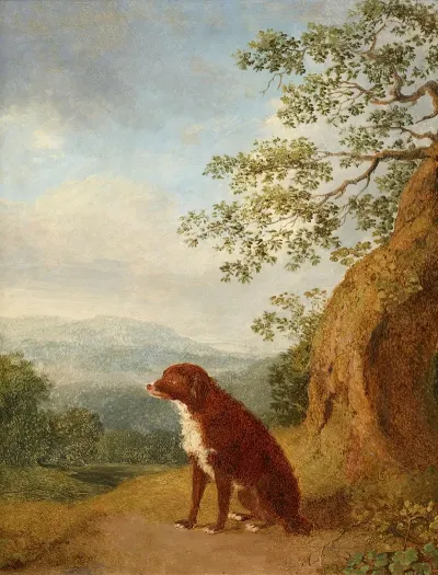 Sitzender Hund In Landschaft