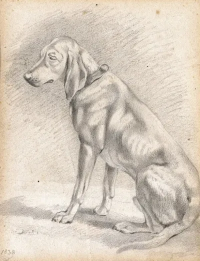 Sitzender Jagdhund