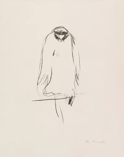 Sitzender Raubvogel Adler