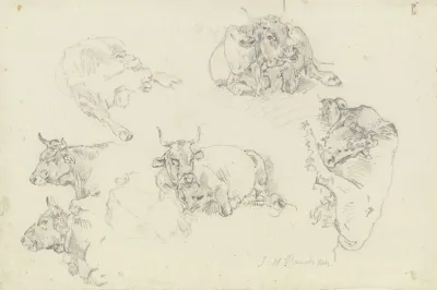 Six Cattle