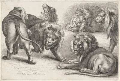 Six Lions In Various Poses