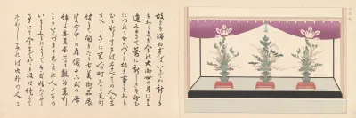 Sixteen Illustrations Of Ancient Ceremonial Displays Pl 15