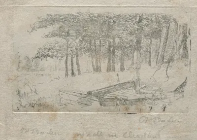 Sketch From Nature 2