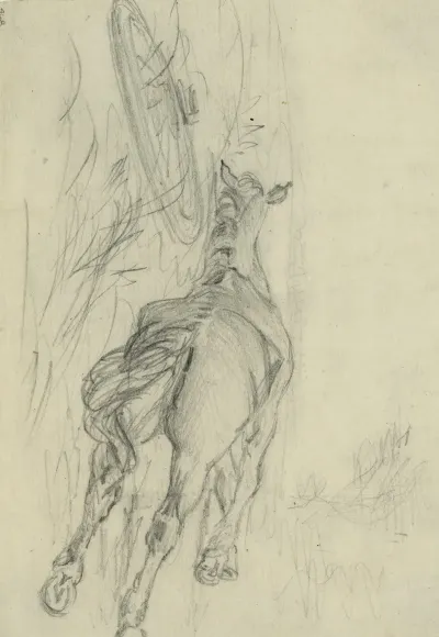 Sketch Of A Dead Horse