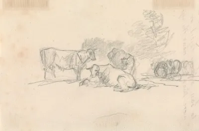 Sketch Of Cattle