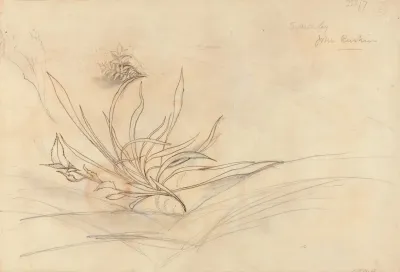 Sketch Of Foliage