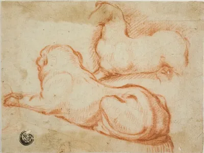 Sketch Of Horse And Dog