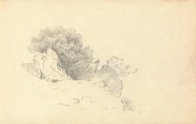 Sketch Of Rocks And Shrubs