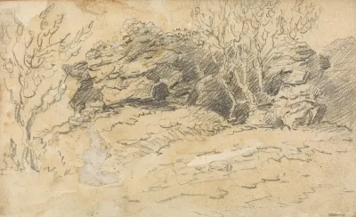 Sketch Of Trees And Rocks