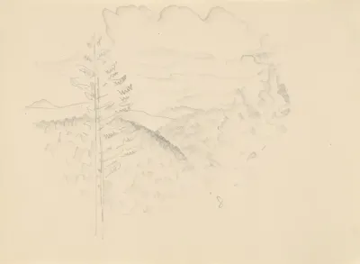 Sketchbook 121
