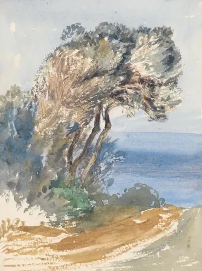 Sketchbook 15