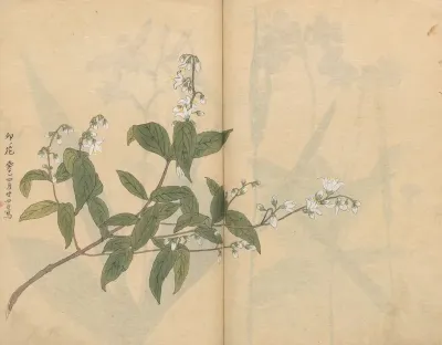 Sketchbook Pl 005