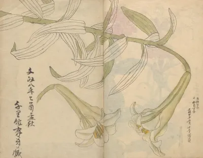 Sketchbook Pl 012