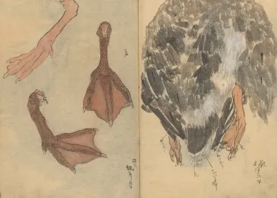 Sketchbook Pl 020