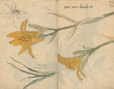 Sketchbook Pl 025