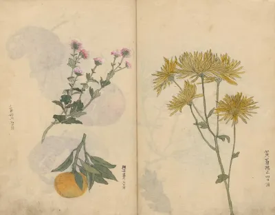 Sketchbook Pl 027