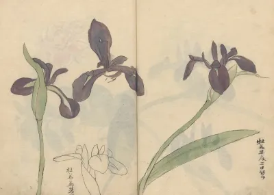 Sketchbook Pl 037