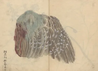 Sketchbook Pl 039
