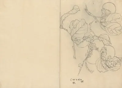 Sketchbook Pl 054