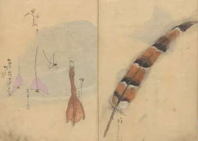 Sketchbook Pl 065