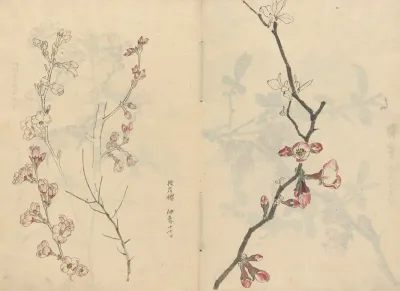 Sketchbook Pl 067