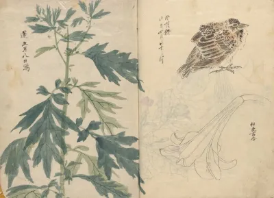 Sketchbook Pl 070