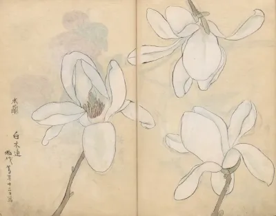 Sketchbook Pl 077