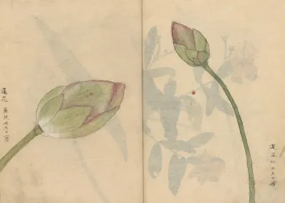 Sketchbook Pl 078