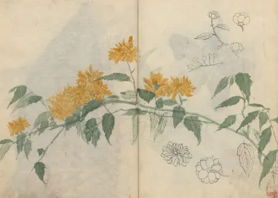 Sketchbook Pl 080