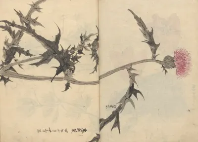 Sketchbook Pl 083