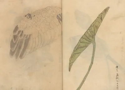 Sketchbook Pl 084