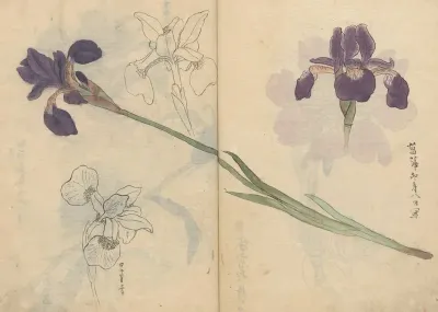 Sketchbook Pl 085