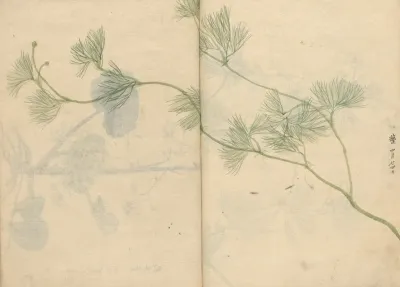 Sketchbook Pl 089