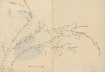 Sketchbook Pl 093