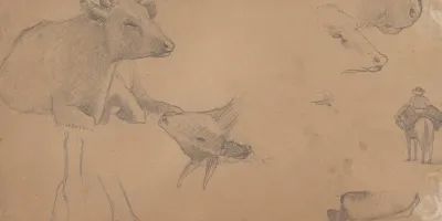 Sketches Of A Donkey A Cow And A Man On Horseback